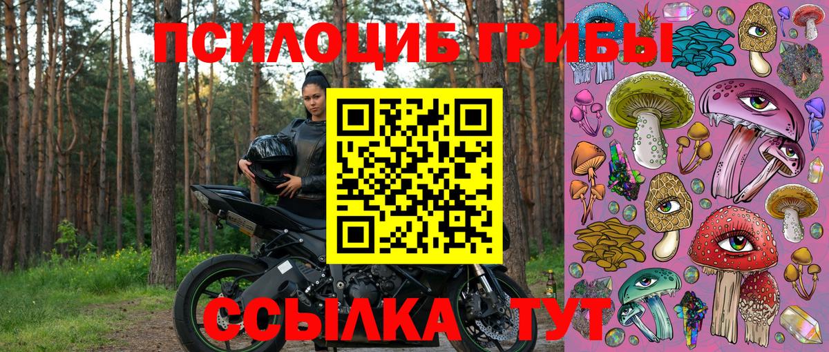 Псилоцибиновые грибы MAGIC MUSHROOMS  Вход с VPN  Нижнеудинск 