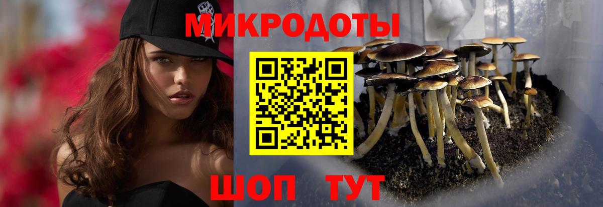 Псилоцибиновые грибы Psilocybine cubensis Нижнеудинск