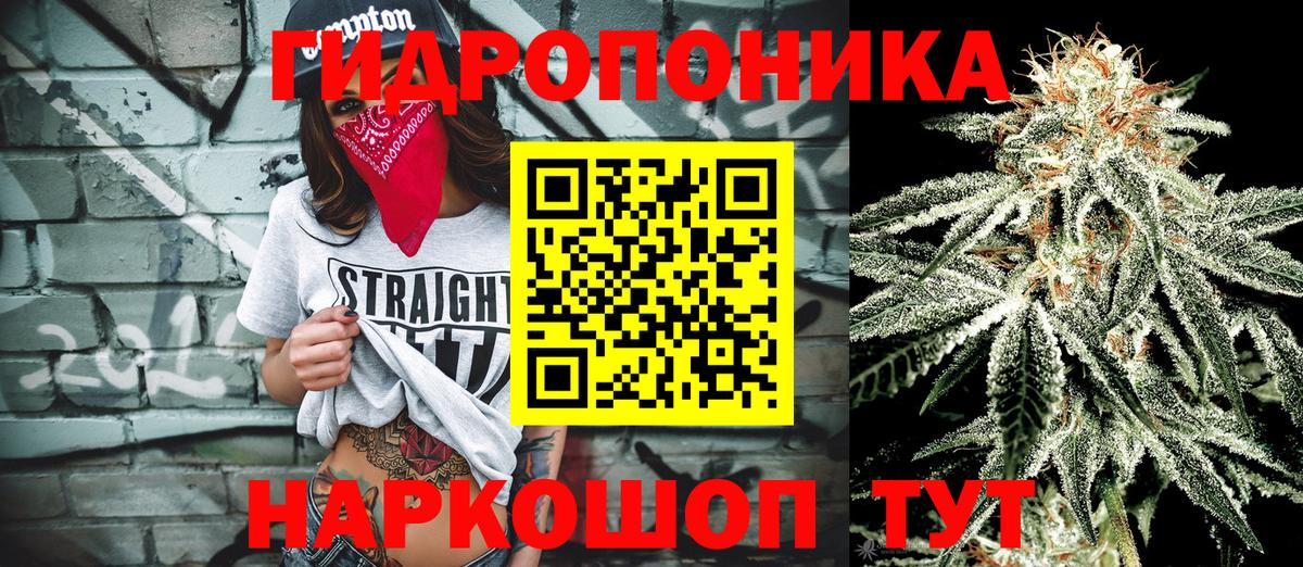 Каннабис сатива  Вход с VPN  Конопля LSD WEED  Нижнеудинск 